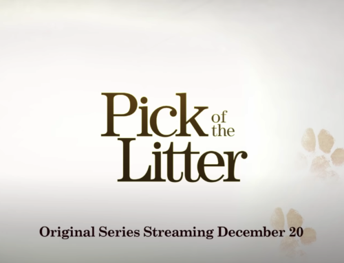 Pick of The Litter – Disney+