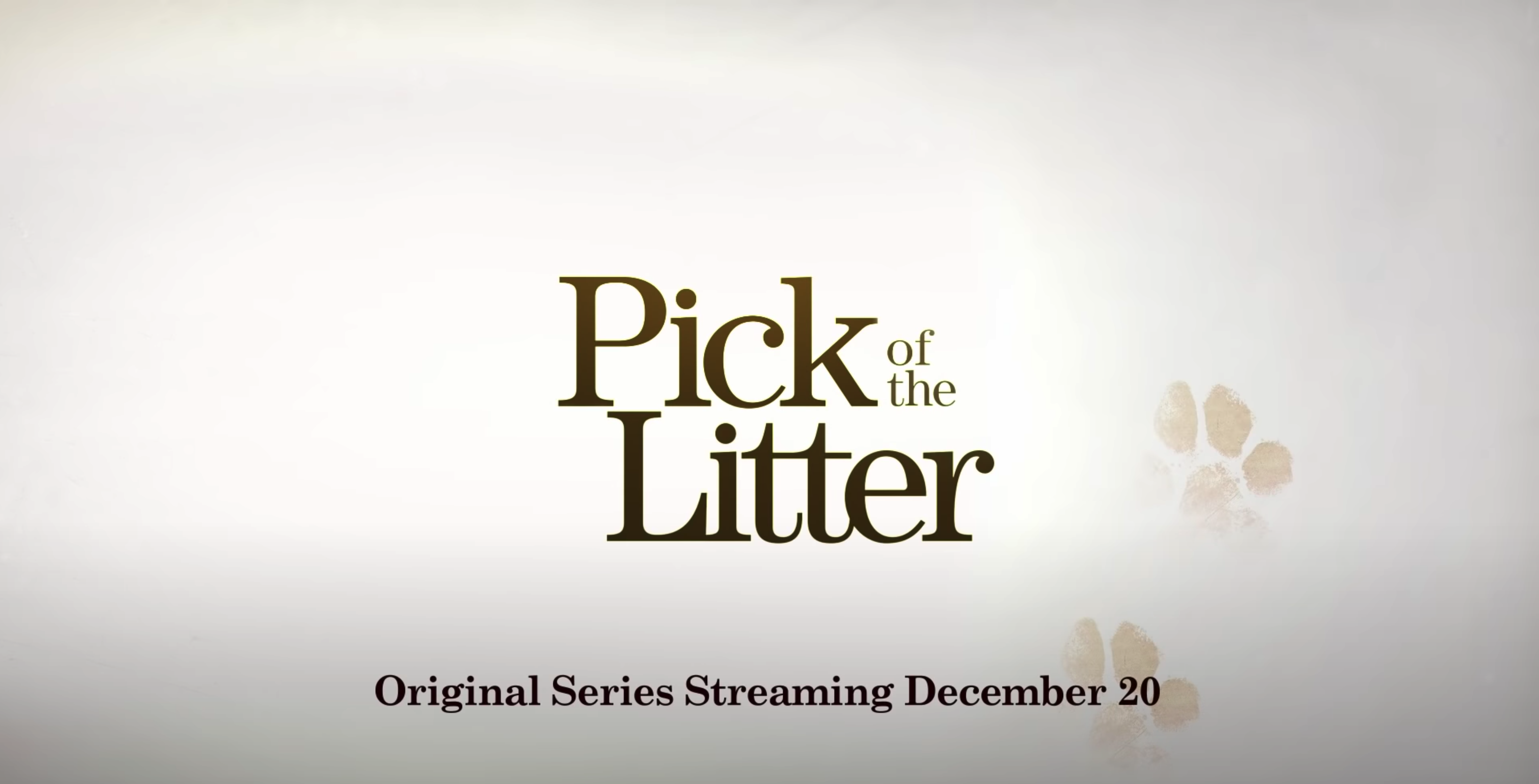 Pick of The Litter – Disney+